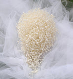 Beautiplex pearl wedding bouquet