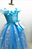 Elsa Costume Disney Tulle Dress Frozen Costume Kid Birthday Party Costume Beautiplex