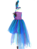 Princess Costume Peacock Tulle Dress Costume Tea Party Dress Halloween Fairytale Costume Storybook Cosplay Hi Low Tulle Dress Beautiplex